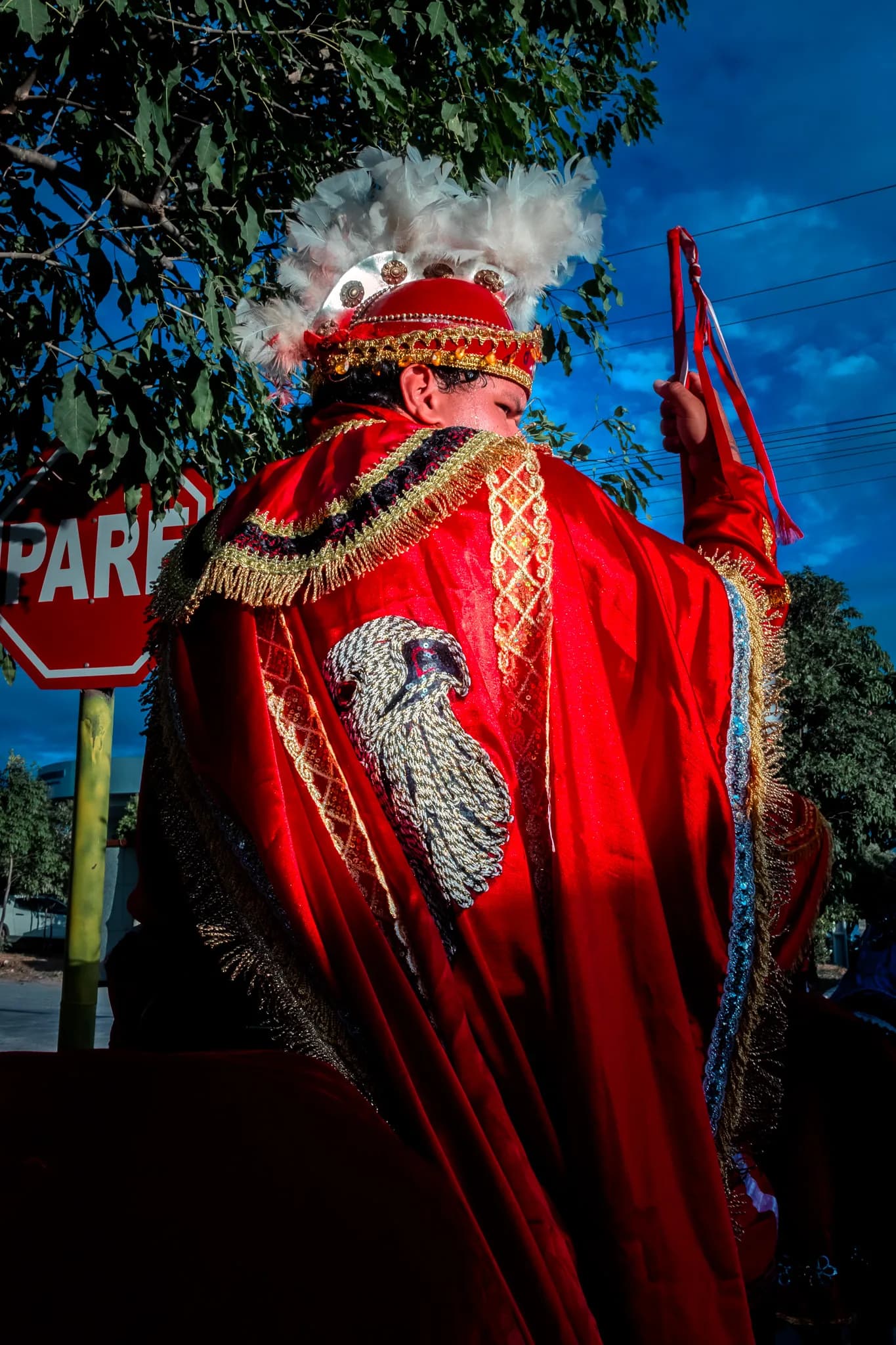 The same costume from behind, the cape open over the shoulders.