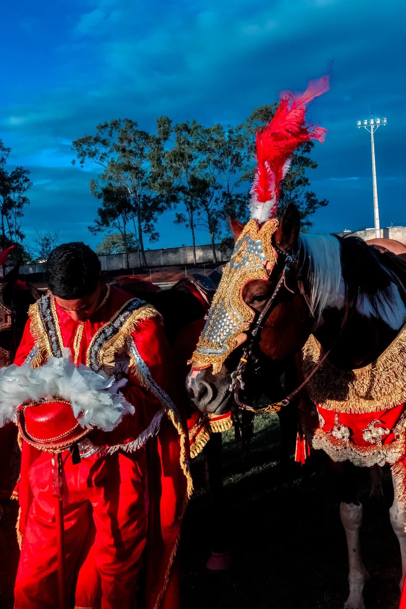 The same group with the horses, harnesses and plumes at close range.