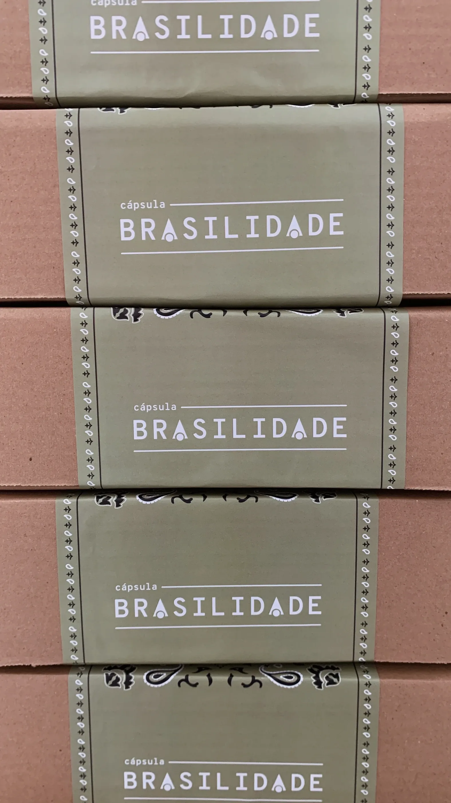 Cápsula Brasilidade 6