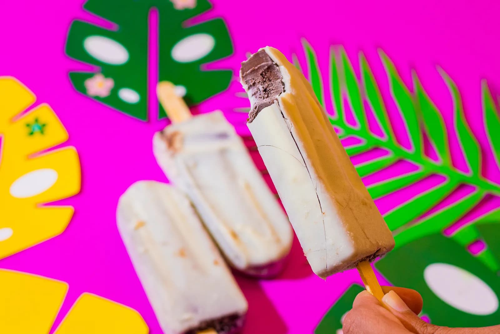 Cores e Sabores 1