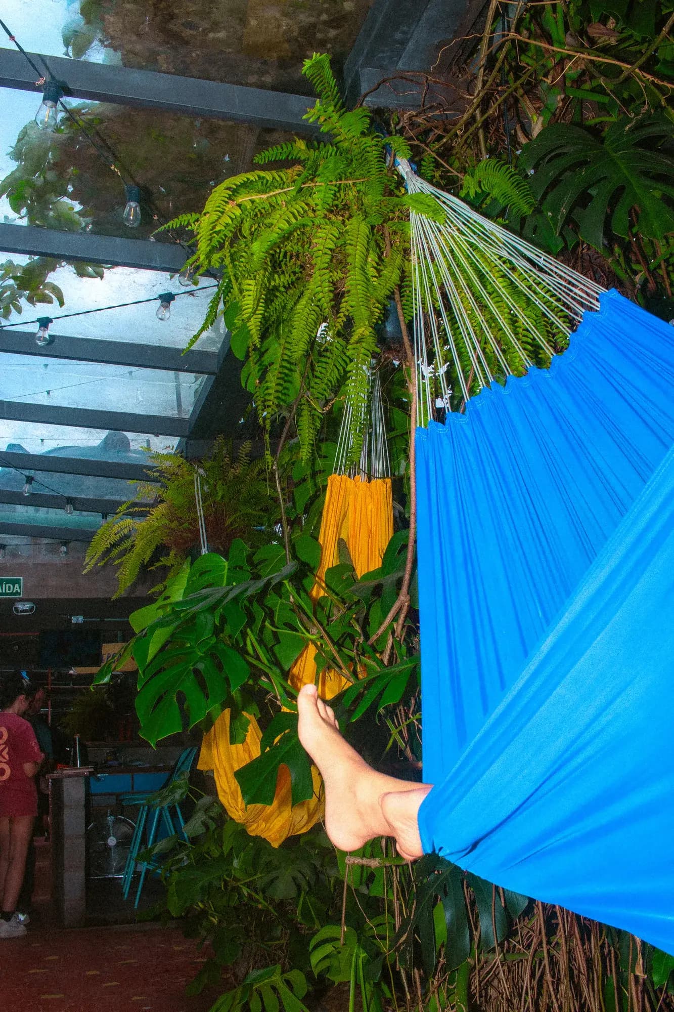 A guest resting in a blue hammock strung under the plants.