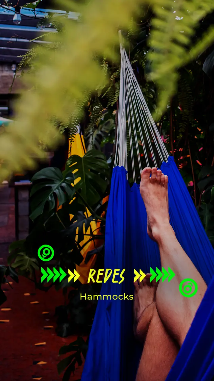 A blue hammock strung among the plants.